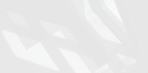 Abstract Shadow. blur background. gray leaves that reflect concrete walls on a white wall surface for blurred backgrounds and monochrome wallpapers.