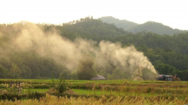 Farmers are milling rice with Harvester in the paddy fields during sunset, rice mill or a threshing machine on a Harvester at rural village of Mae Hong Son amazing Thailand. Clip with natural sound.