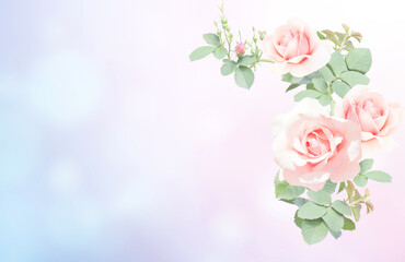 Romantic blurred horizontal background with red rose