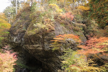 日本　群馬の紅葉