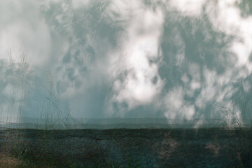 Fototapeta na wymiar Abstract art image with leaf shadows on the wall