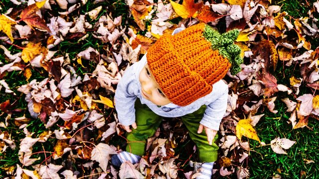 Directly Above Shot Of Baby Boy Sitting On Leaves During Autumn