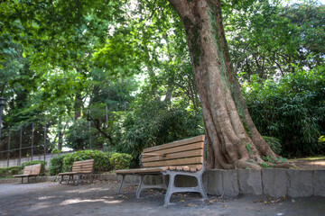 下馬中央公園（東京都世田谷区下馬）