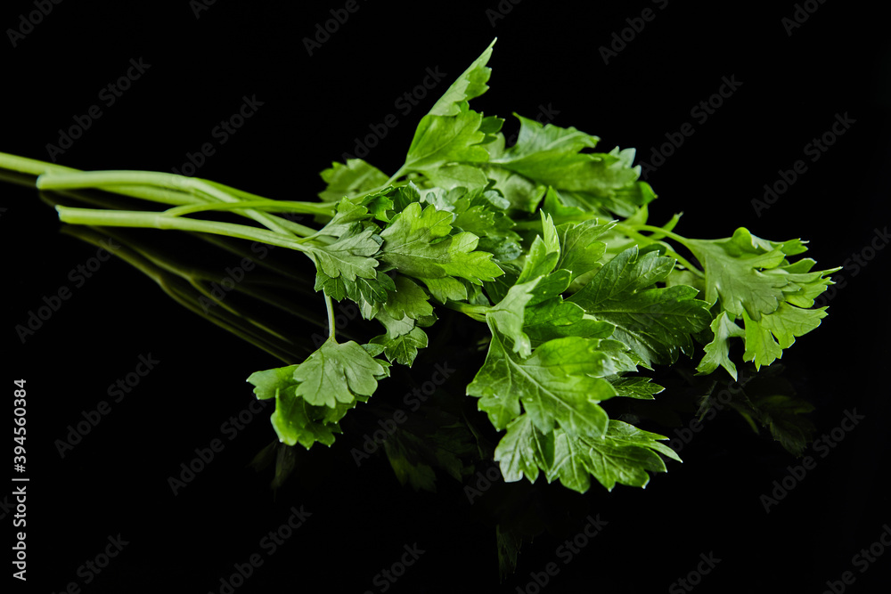 Canvas Prints A bunch of fresh green parsley on a black background with reflection