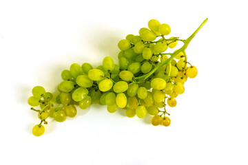 photo of green grapes on a white background close up