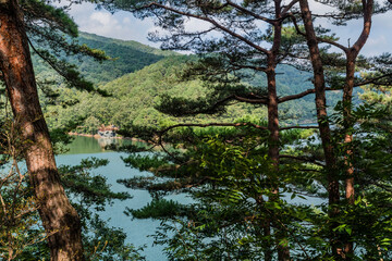 Lake and mountainside framed by trees.