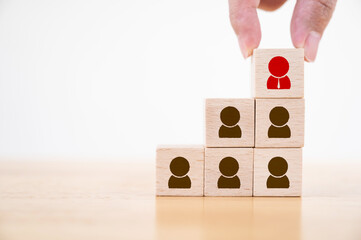 Human resource and talent management and recruitment business concept, Hand putting wood cube block on top staircase