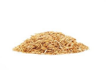 Three wheat spikelets isolated on white background. Top view wheats.