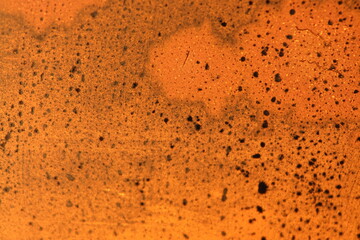 The glass is illuminated by the sun at sunset