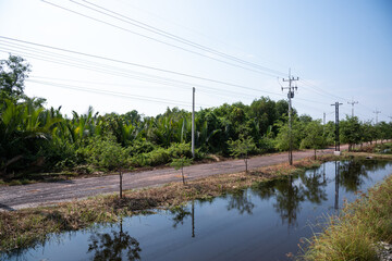 Obraz premium View of local road made from gravel with a ditch alongside, many electric poles on the road, feeling of rural atmosphere