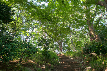 上野公園（東京都台東区）