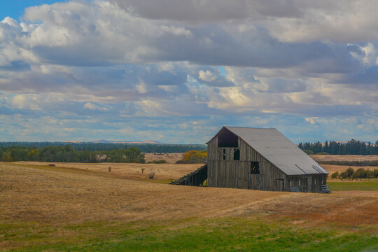 Empty old barn on farm land in Eastern Washington 
