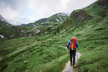 Fototapeta premium Back view of tourist with backpack traveling alone in green hillside valley. Young man hiker with trekking poles walking down the road among beautiful high mountains. Concept of travelling and hiking.