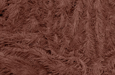 abstract background of detail bright pattern texture shaggy fur with long fibers.
