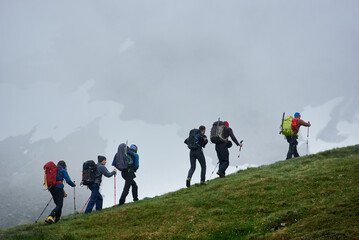 Back view of hikers with backpacks using trekking sticks while climbing grassy hill. Young people...