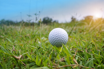 Golf ball on tee in the evening golf course with sunshine background.
