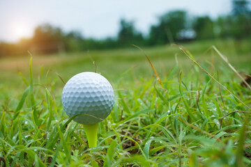 Golf ball on tee in the evening golf course with sunshine background.
