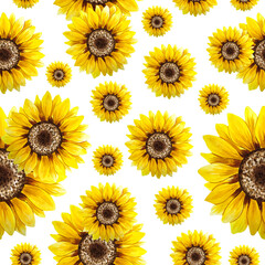 Nahtloses Muster mit gelben Sonnenblumen, die in Aquarell auf weißem Hintergrund gemalt sind. Textilmuster.
