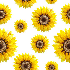 Seamless pattern with yellow sunflowers painted in watercolor on a white background. Textile pattern.