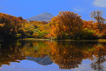 鳥海山と紅葉の善神沼の風景	