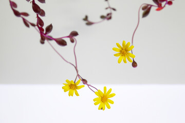 ルビーネックレスの花02