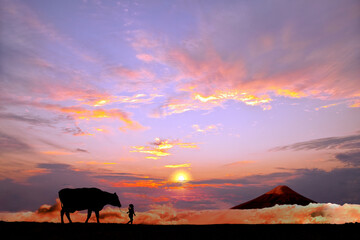 Fototapeta na wymiar オレンジの空を背景に草原の牧場で牛を曳く少女のシルエット