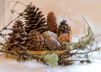 different shapes and types of cones in a wicker basket, preparing for Christmas, waiting for Christmas