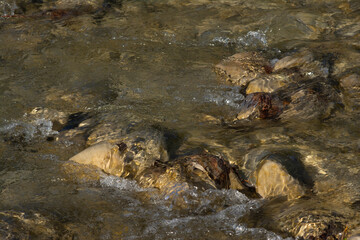 Closeup of a river in South France, flows between stones with death leaves. Forms scum.