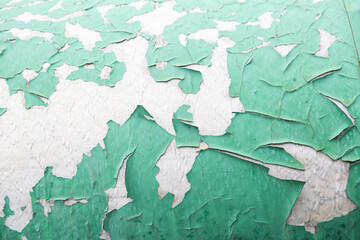 Fototapeta premium Peeling green paint. Old paint texture