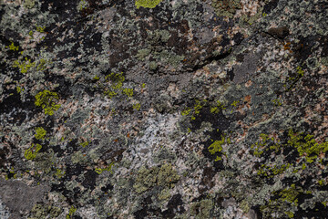 The texture of a stone wall, flooring, concrete destruction, metal corrosion and rusty antiquity,...