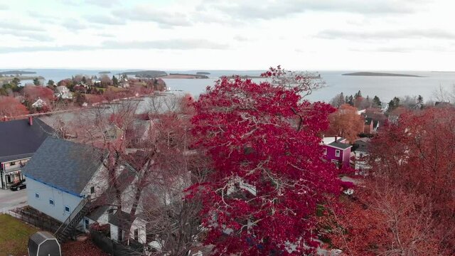 Small Town in Nova Scotia- Fall Foliage
