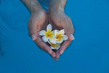 물속에서 모은 두손에 담겨있는 꽃