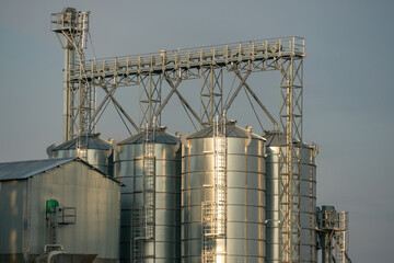 silver silos on agro manufacturing plant for processing drying cleaning and storage of agricultural products, flour, cereals and grain. Large iron barrels of grain. Granary elevator