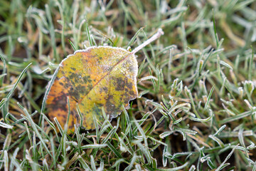 Eis im Winter - Gefroren