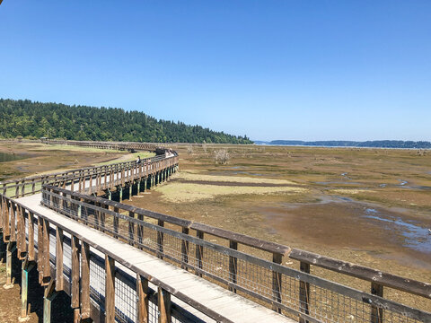 Nisqually Reach Aquatic Reserve