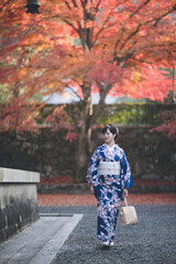 京都「南禅寺」の紅葉　女性着物　日本　秋