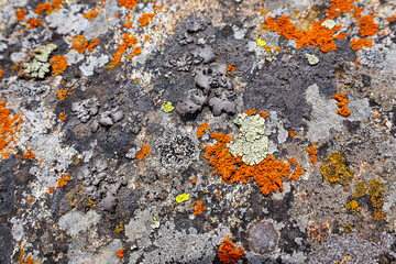The texture of a stone wall, flooring, concrete destruction, metal corrosion and rusty antiquity, the basis of construction reinforcement and ceilings, paint chips