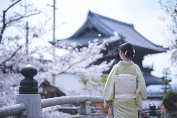 Obraz premium 京都の春 金戒光明寺の桜 着物ポートレート 日本人女性