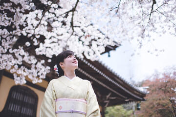 Fototapeta premium 京都の春 南禅寺の桜 着物ポートレート 日本人女性