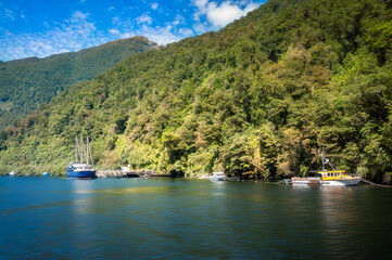 Fototapeta na wymiar The Shipping Docks and mountain range at Wanganella Cove in the Deep Cove at Doubtful Sound on a beautiful summer morning in New Zealand, South Island.