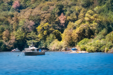 Fototapeta na wymiar A small helicopter and some boats against the colorful forest at Wanganella Cove at Doubtful Sound on a beautiful summer morning in New Zealand, South Island.