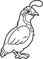Vector illustration of cute cartoon quail character for children, coloring and scrap book