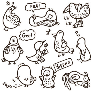 Vector set of doodle birds with some their habits.