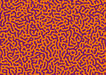 Turing Noodle Pattern Orange Purple