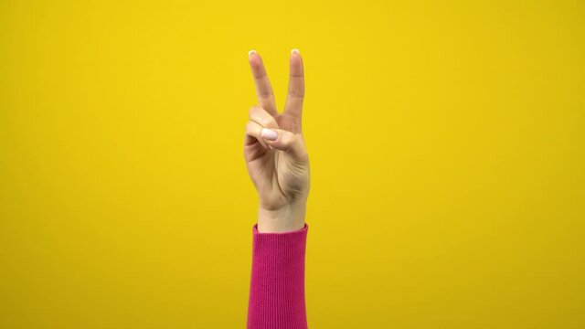 The female hand shows the sign of peace or victory. Studio photography on an isolated yellow background.