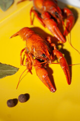 lobster on a plate