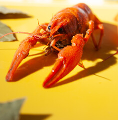 lobster on a wooden board