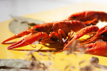 lobster on the market