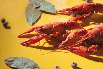 lobster on a wooden background