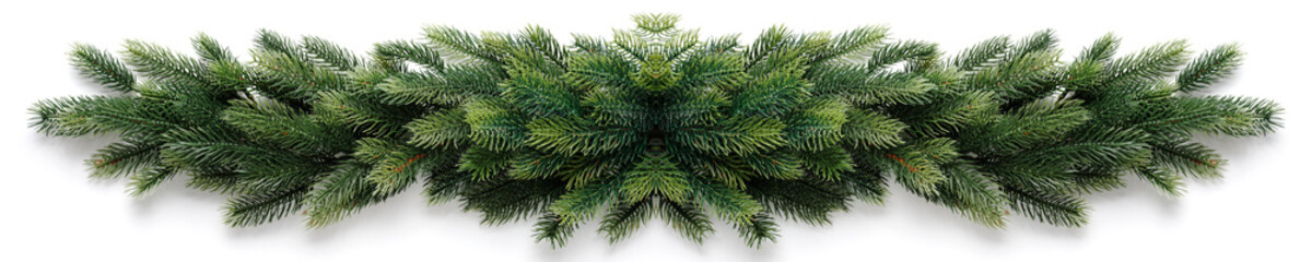 Wide green Christmas decoration. Fir branches border